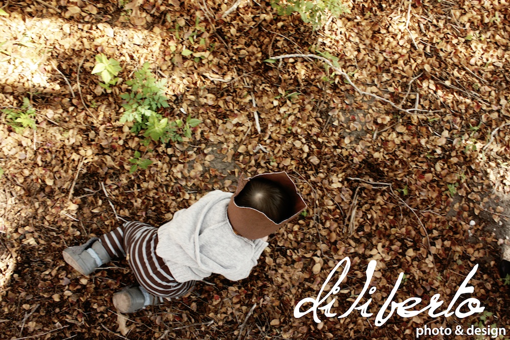 Where the Wild Things Are Photo Session