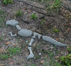 Concrete Dino Bones