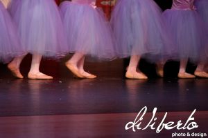 IMG_4890.jpg