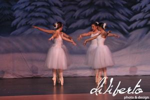 IMG_5061.jpg