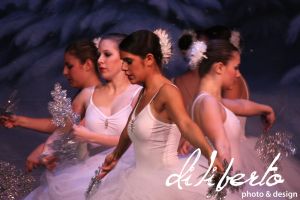 IMG_5074.jpg