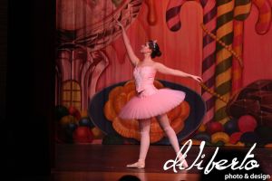 IMG_5139.jpg