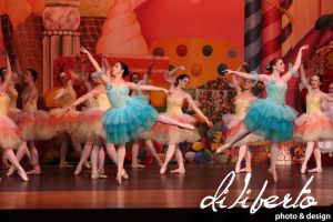 IMG_5253.jpg