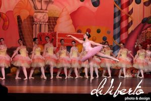 IMG_5261.jpg