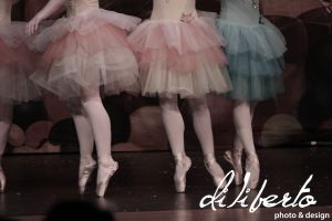 IMG_5264.jpg