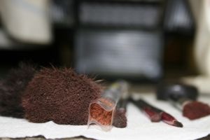 IMG_8009-web.jpg